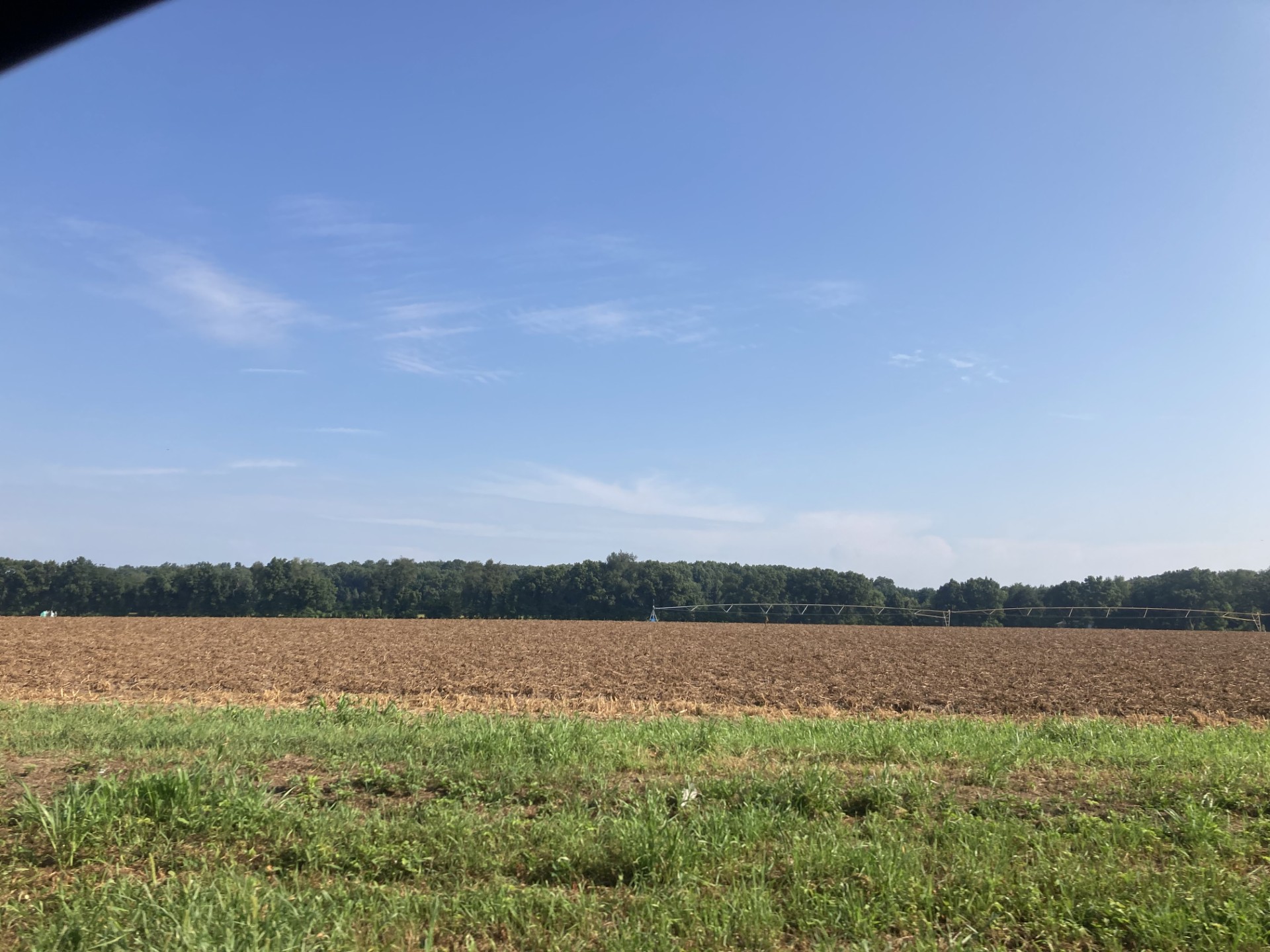 A potato field after desiccation.